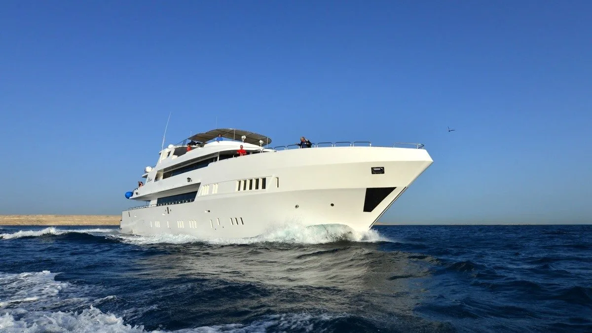 Eine große weiße Yacht segelt an einem klaren, sonnigen Tag durch tiefblaue Gewässer. Das Boot verfügt über mehrere Decks und offene Flächen für Freizeitaktivitäten. Im Hintergrund ist unter einem wolkenlosen Himmel ein Streifen Sandstrand zu sehen.