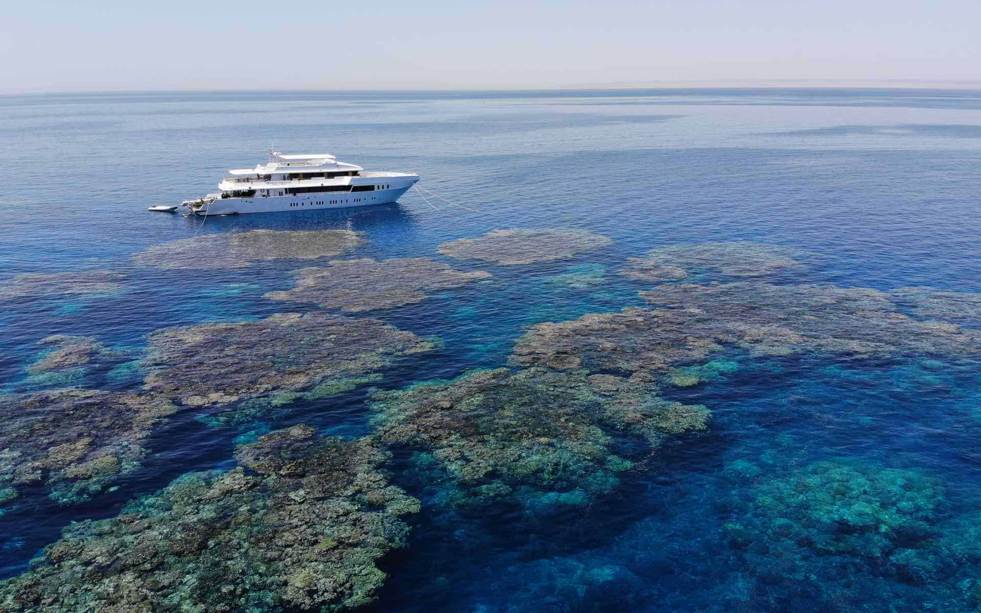 Blue Seas, Tauchsafari Ägypten
